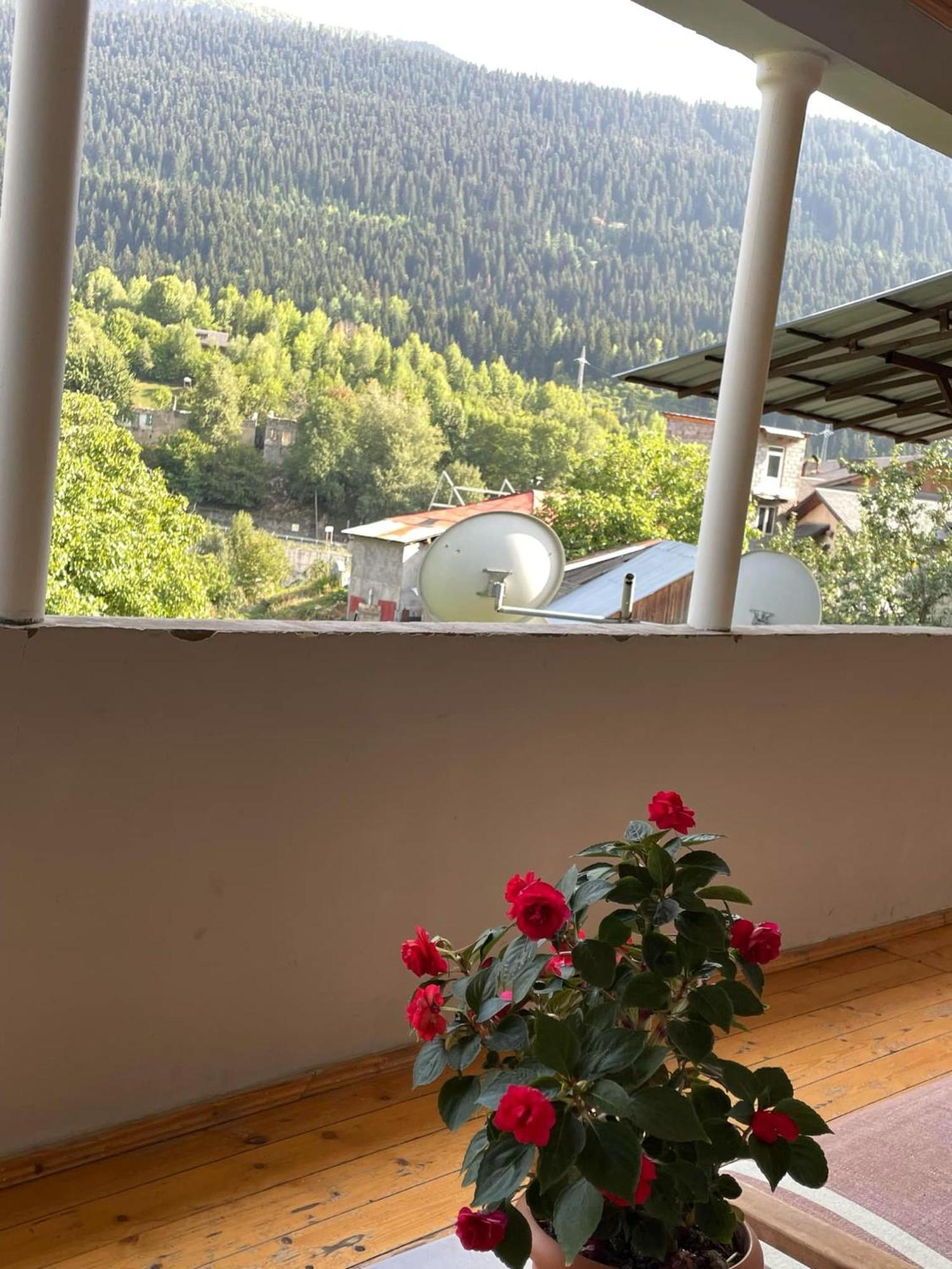 מסטיה Guest House Nene מראה חיצוני תמונה